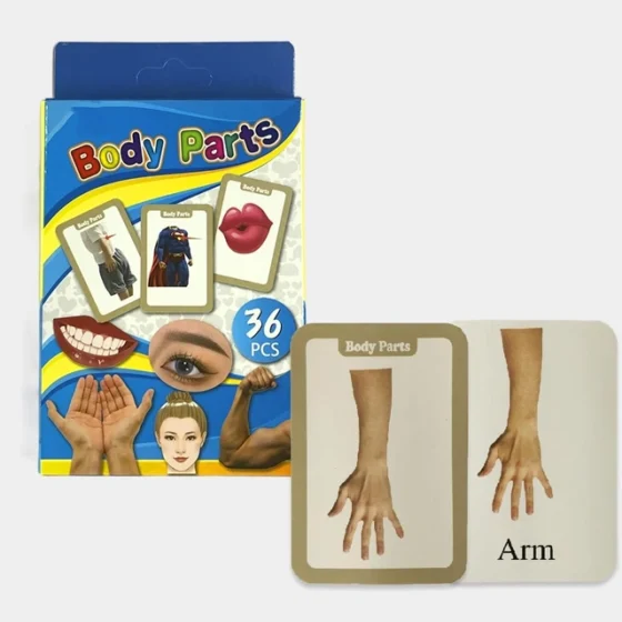 Kids Educational Flash Cards (Body Parts)