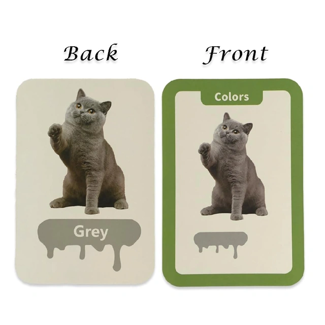 Kids Educational Flash Cards (Colors) - Image 4