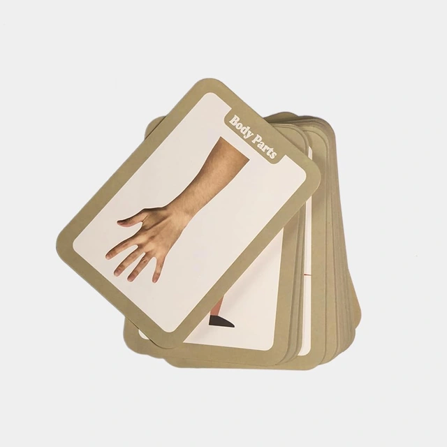 Kids Educational Flash Cards (Body Parts) - Image 3